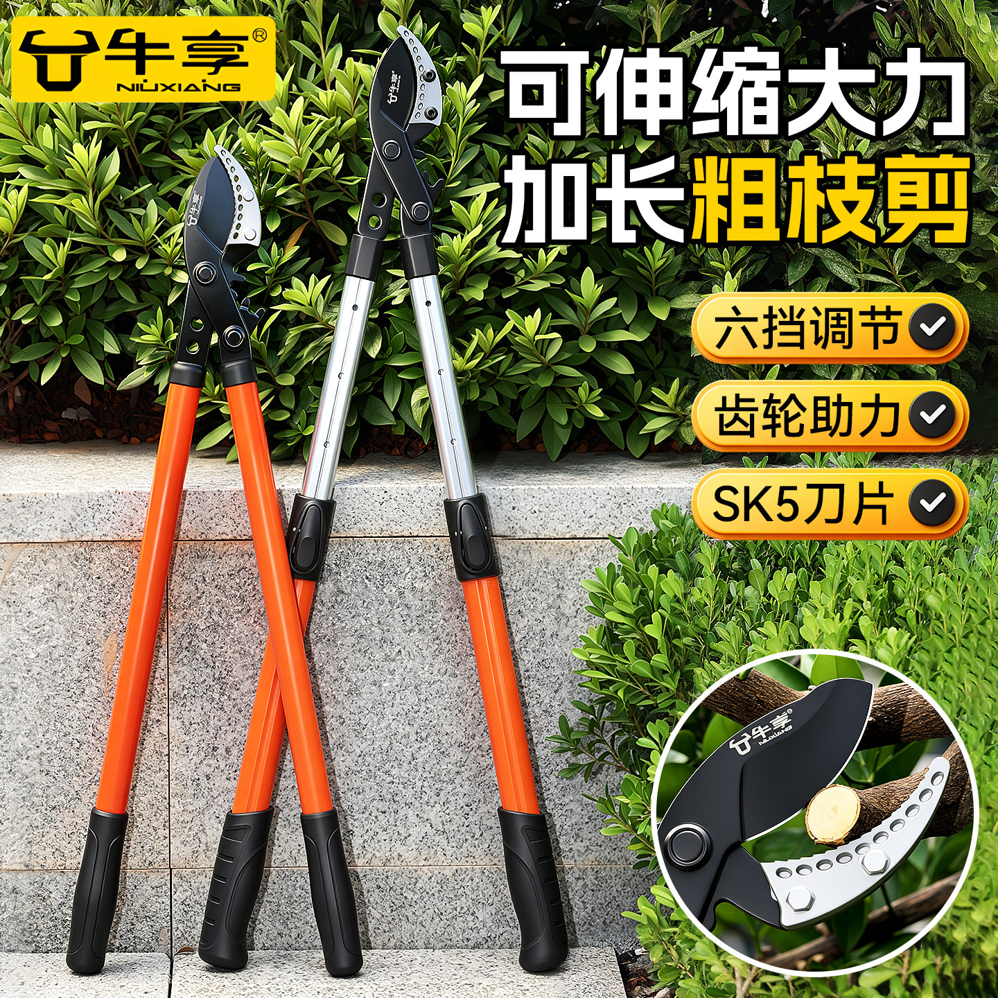 果树专用园艺树枝剪修剪神器省力图片