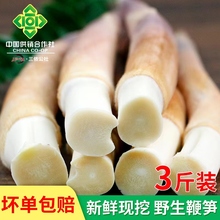 新鲜鞭笋农家现挖黄泥竹笋1500g装 浙江上虞长塘鞭笋