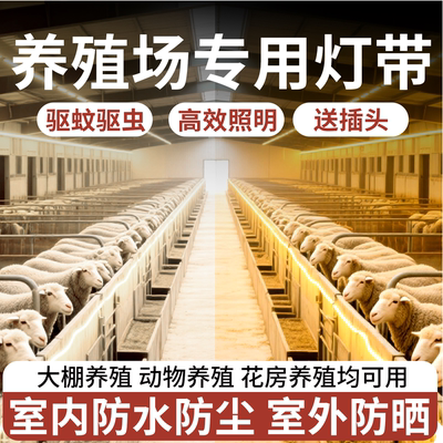 养殖场灯带led灯条畜牧业驱蚊虫