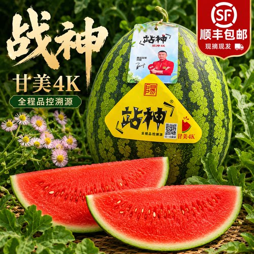 站神甘美4K无籽西瓜顺丰包邮