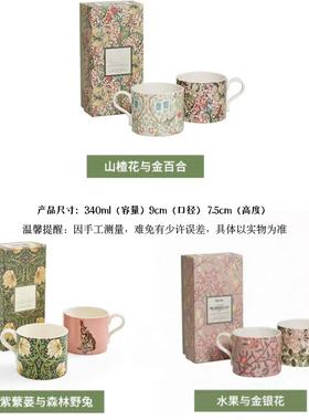 经典Morris系列高档陶瓷马克杯咖啡杯情侣对杯闺蜜节日礼物礼盒装