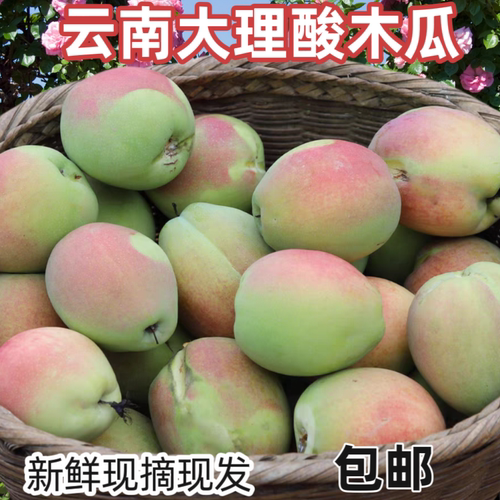 酸木瓜云南新鲜包邮现摘野生老品泡酒炖鸡应季孕妇酸水果青木瓜
