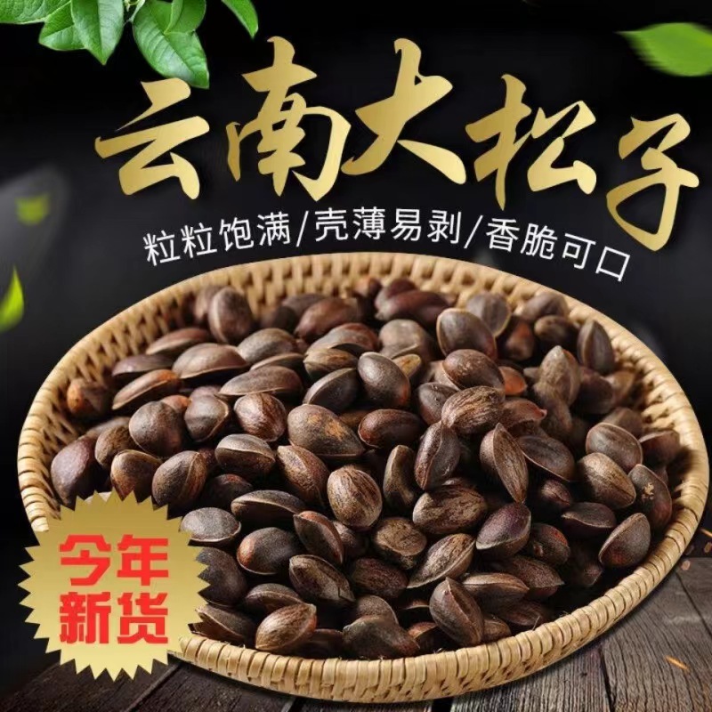 新鲜松子散装零食坚果野生2024新货云南特产落水湿松子原味大颗粒