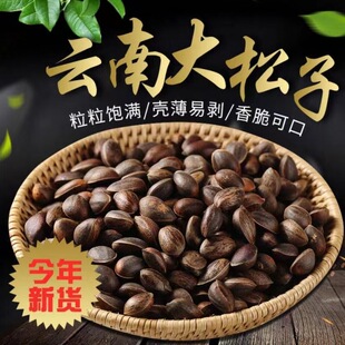 新鲜松子散装零食坚果野生2024新货云南特产落水湿松子原味大颗粒