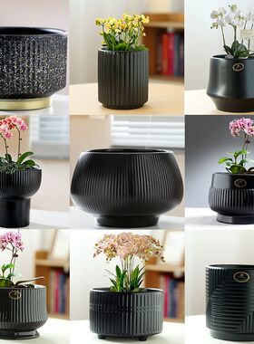 陶瓷花盆黑色带托盘特大简约北欧阳台兰花室内客厅侘寂风多肉花盆