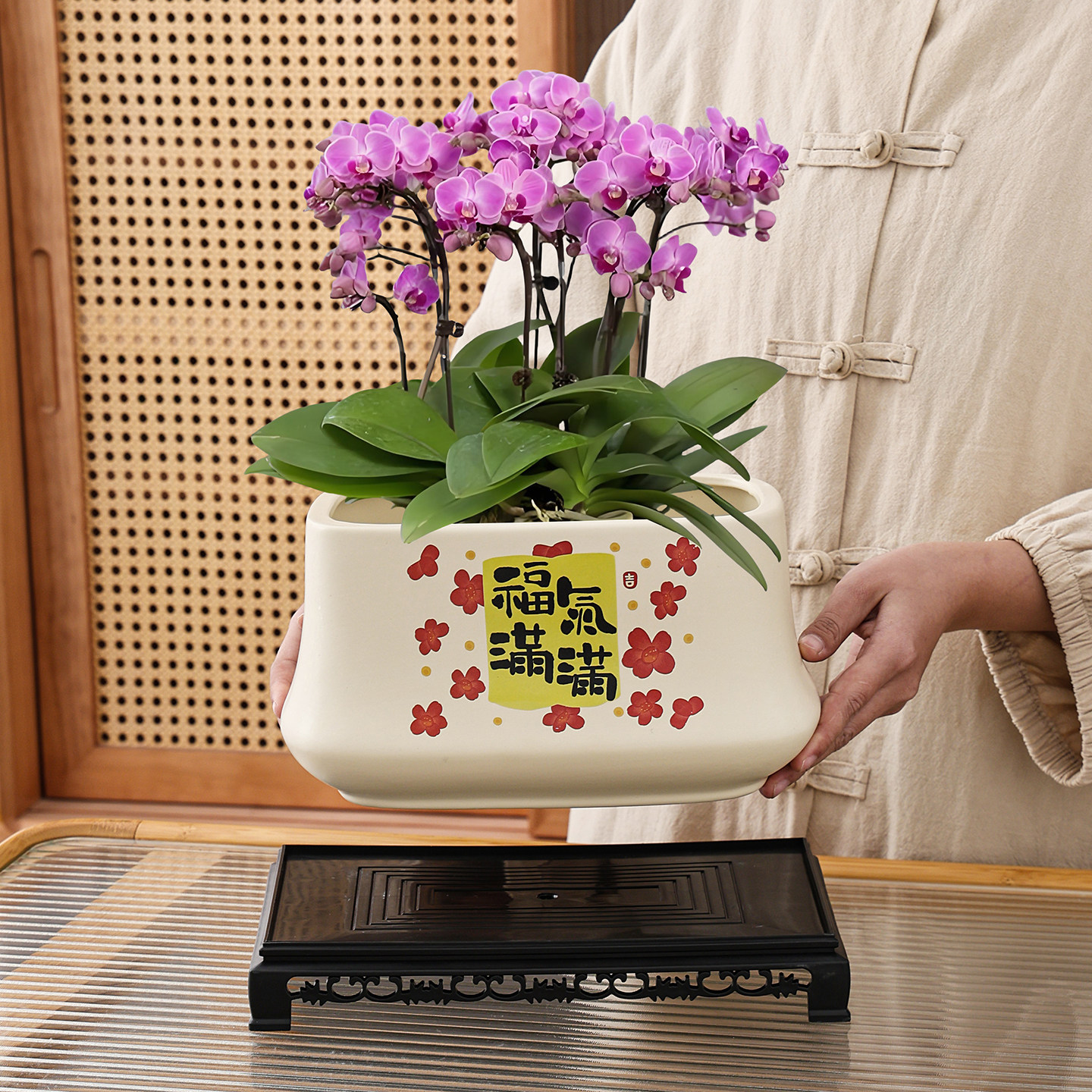 陶瓷花盆蝴蝶兰家用花盆客厅室内绿植郁金香特价清仓多肉盆带托盘,鲜花速递/花卉仿真/绿植园艺,花盆,淘宝优惠券,粉丝福利购,淘宝优惠卷