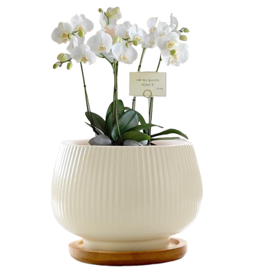 北欧花盆陶瓷带托盘简约室内特价清仓大号特价个性家用绿萝多肉盆