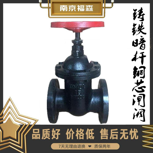 铸铁闸阀Z45T-10/16暗杆法兰铜芯排污消防供暖铜芯大体DN65 80 50