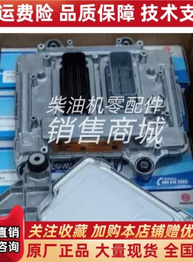 612650080075/1001228607原装潍柴锐动力电脑板ECU电控单元