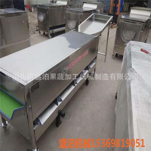 三月李分选机水果m拣果机 分大小设备 不伤果 提率省人工