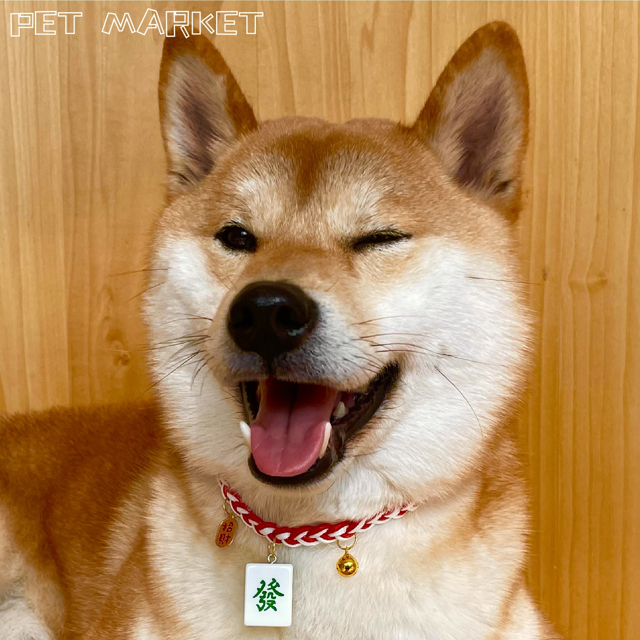 宠物项圈麻将招财可爱猫咪柴犬大型金毛手工编织调节铃铛转运饰品