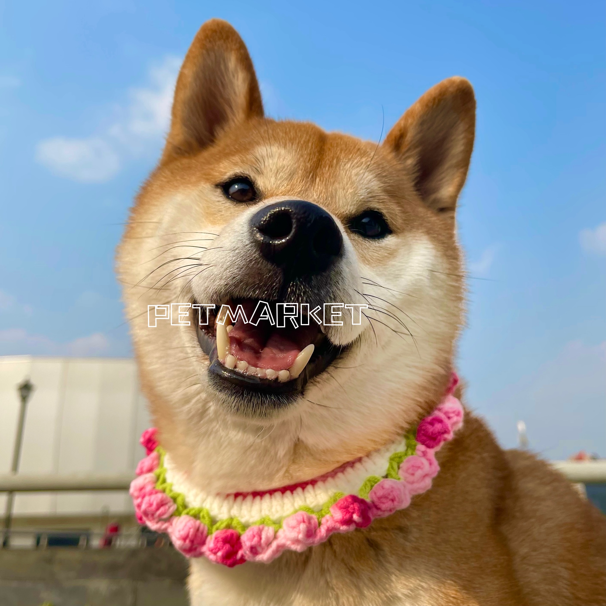 宠物手工可爱针织装饰猫咪柴犬中型大型项圈粉色项链拍照配饰布偶
