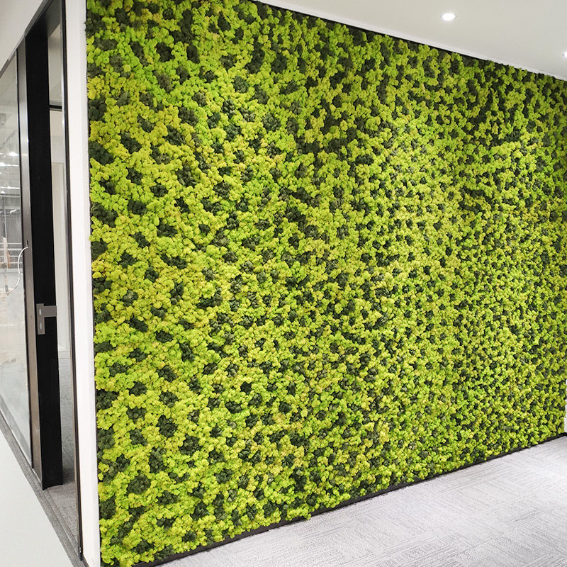 定制永生苔藓植物墙仿真绿植墙背景墙绿色绿植墙面创意个性装饰