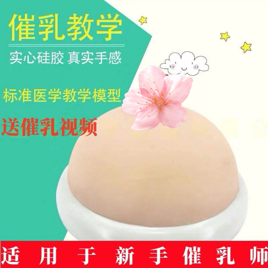 婴儿安抚假乳房仿真乳房模型义乳假乳催乳师培训教具哺乳教学模型