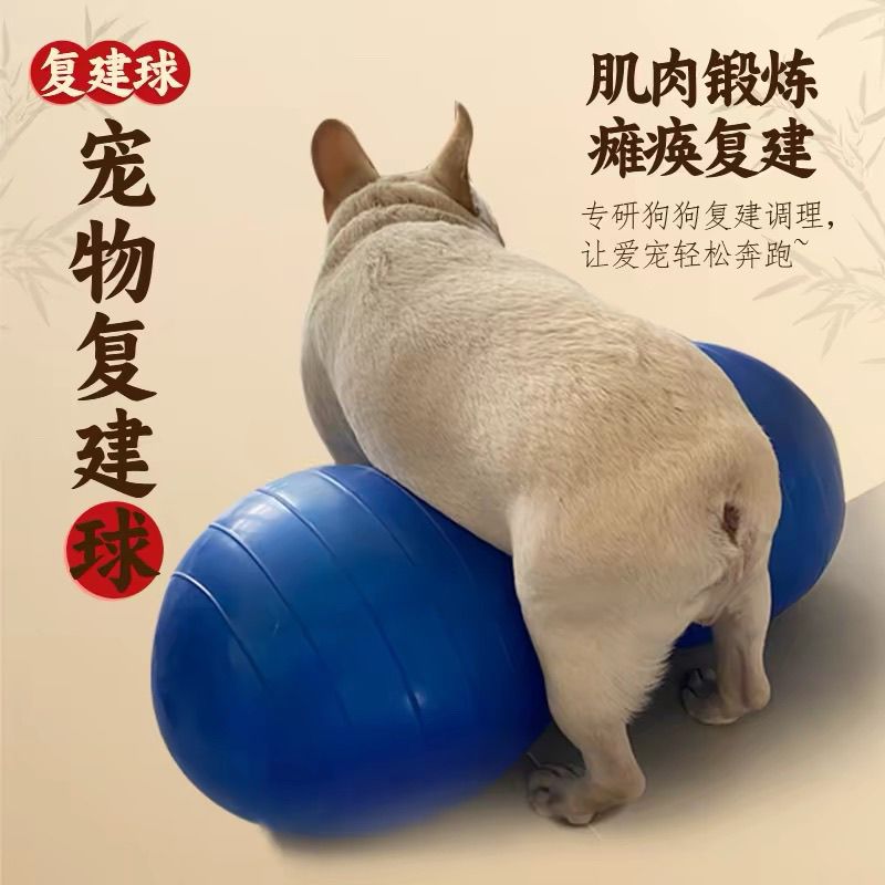 狗狗瑜伽球狗狗瘫痪用品运动训狗器宠物复健花生球运动用品健身器