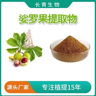 娑罗果提取物 30:1 娑罗子提取物七叶树种子提取物粉源头工厂现货