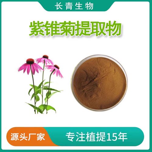 紫锥菊多酚8%4%紫锥菊提取物