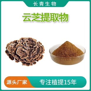 云芝提取物 云芝多糖80%云芝子实体多糖100克浸膏浓缩粉末 赠勺子