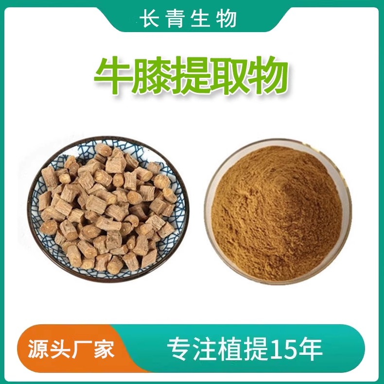 川牛膝提取物30:1川牛膝粉牛膝多糖植物提取原料浓缩免煎粉