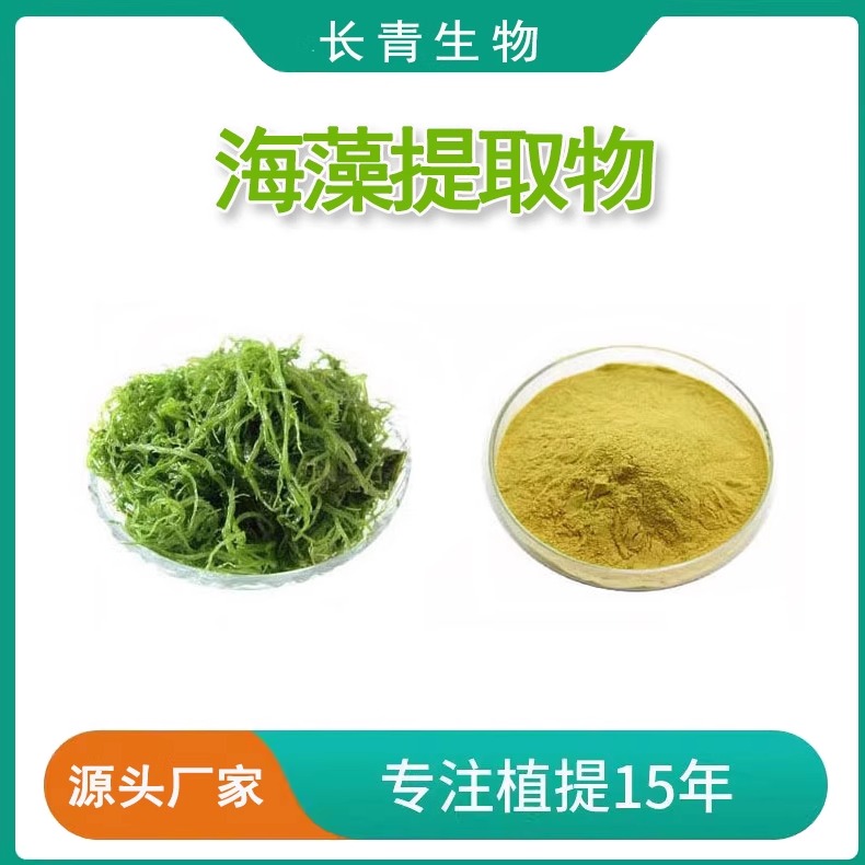 海藻提取物 大叶海藻多糖20%浸膏粉末提取物 海藻粉现货赠勺子