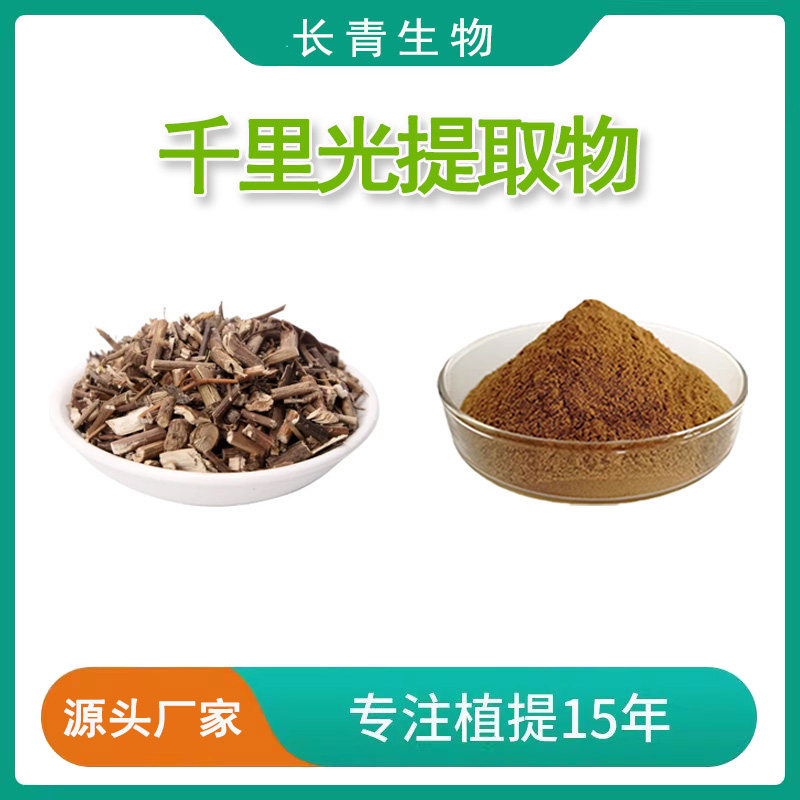千里光提取物20:1 九里光提取物 千里光比例提取浓缩粉末品质现货