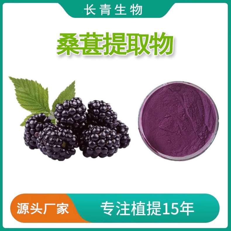 桑葚提取物粉 花青素25% 出口级植物干果桑葚提取物浓缩精华水溶