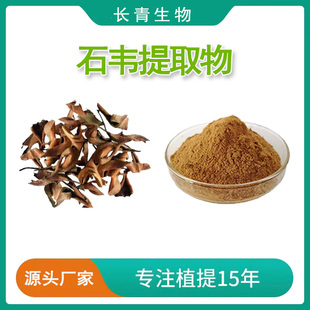 石韦提取物 小石韦庐山石韦叶提取物 天然浓缩精华粉末 现货速发