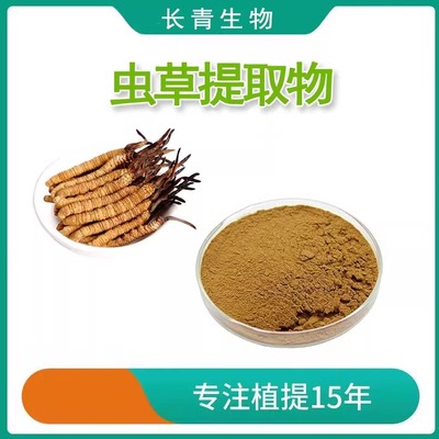 冬虫夏草粉提取物虫草多糖虫草素
