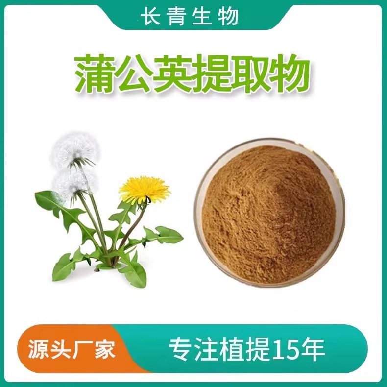 蒲公英提取物 蒲公英黄酮5%10% 纯原料浓缩粉 水溶免煎粉