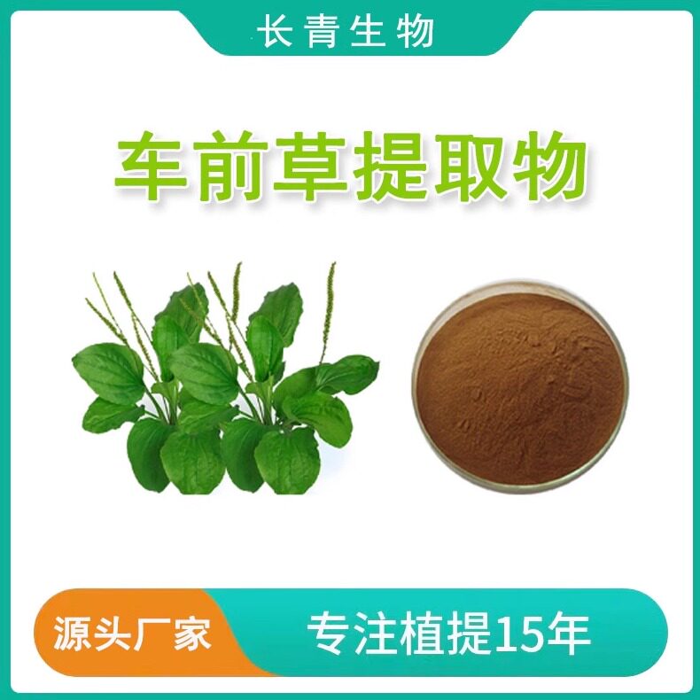 车前草提取物30:1 牛舌菜提取物 车前草皂甙 野生萃取 包邮发货