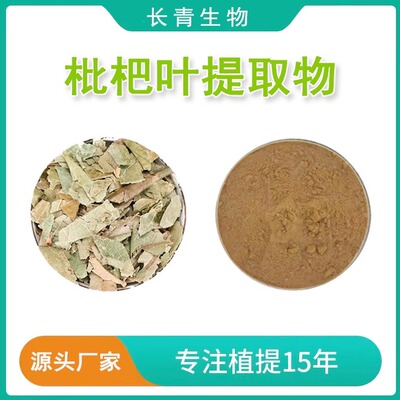 枇杷叶提取物 绿原酸 Loquat Leaf Extract 枇杷叶浸膏粉源头工厂