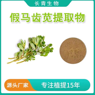 假马齿苋提取物 假马齿苋皂苷A+B10%20%假马齿苋皂甙粉末