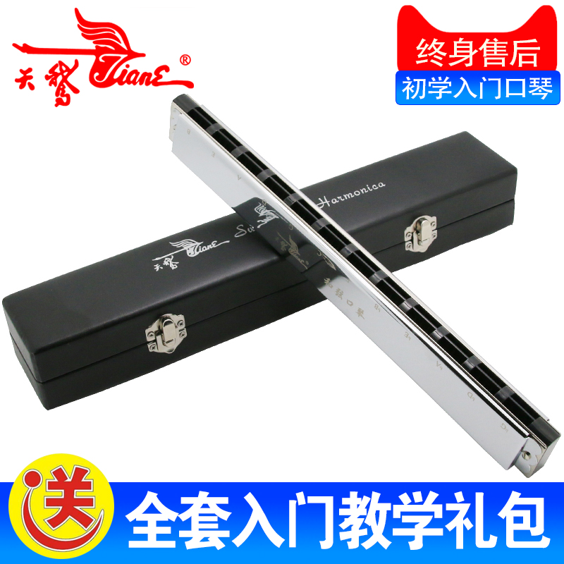 24组口琴天鹅单联和弦口琴