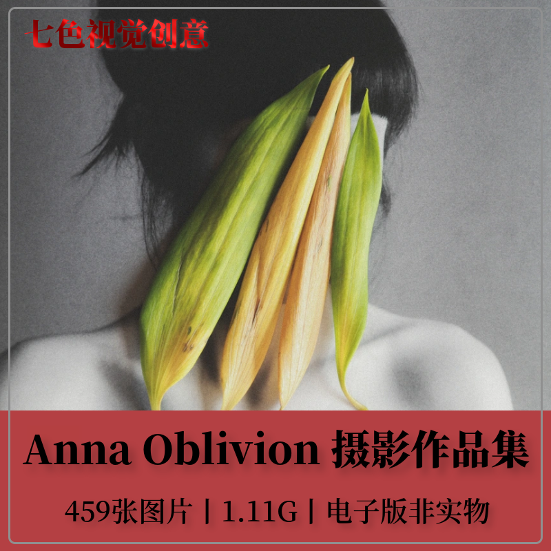 Anna Oblivion 世界摄影大师摄影集后期构图审美艺术参考素材图片