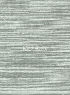 ARTE纯进口 剑麻墙纸40303A 40304A 40309A 40310A 40312A 40315A