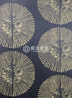 BAZAAR现代电视沙发背景墙纸壁纸G78329 78330 78331 78332 78333