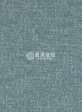 KINSEL TIME 41艾尔莎无缝墙布壁布AS41-49 50 51 52 53 54 55 56