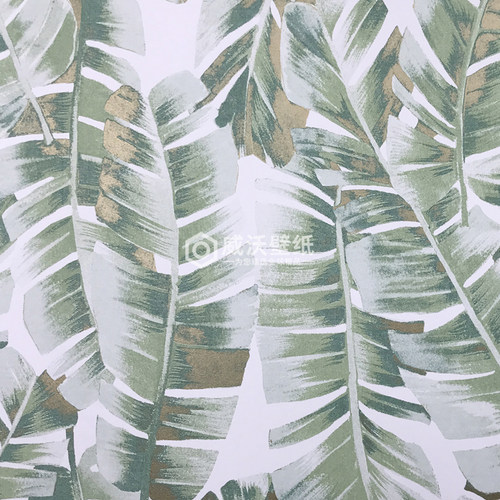 CASADECO进口BOTANICA芭蕉叶墙纸BOTA85947340 85941209 85946755