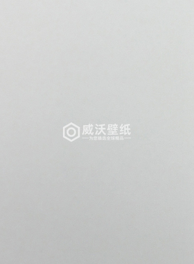 艾尔莎 KINSEL TIME 62无缝墙布AS62-28 29 30 31 32 33 34 35 36