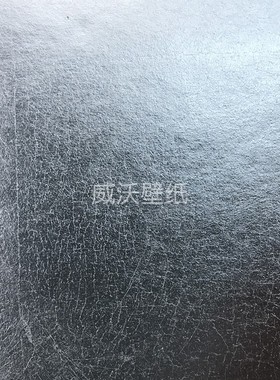 泰祺鸿touchhug 金闪闪金箔银箔墙纸D04-22436 22437 22438 22439
