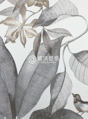 CASADECO 法国进口墙纸SWHT85389242 85379134 85399171 84120233