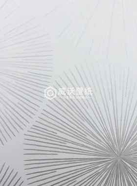 CASADECO 法国进口墙纸SWHT84080220 82040124 82071564 84180202