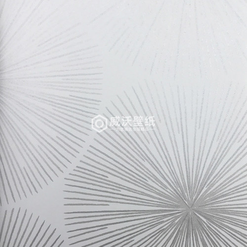 CASADECO 法国进口墙纸SWHT84080220 82040124 82071564 84180202