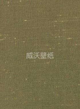泰祺鸿 仿真丝 无缝墙布B44-204446-204447-204449-204450-204453