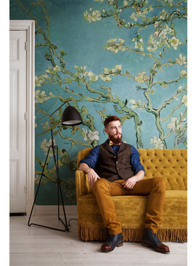 荷兰进口 BN梵高 沙发背景壁画 墙纸壁纸30545 30546 30547 30548