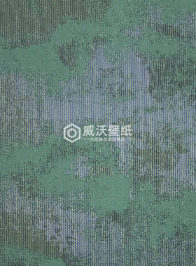 KINSEL TIME 39艾尔莎轻奢无缝墙布壁布AS39-14A 15A 18A 19A 23A