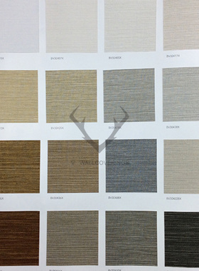 进口墙纸BV30418X 30421X 30422X 30424X 30425X 30426X 30428X