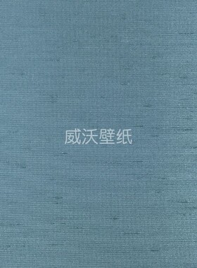 泰祺鸿 仿真丝 无缝墙布B45-204529-204530-204531-204532-204533
