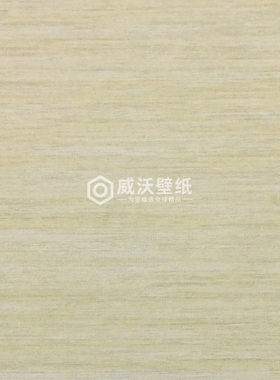 法国进口CASADECO现代风墙纸壁纸BFCO81359511 81359420 81357101