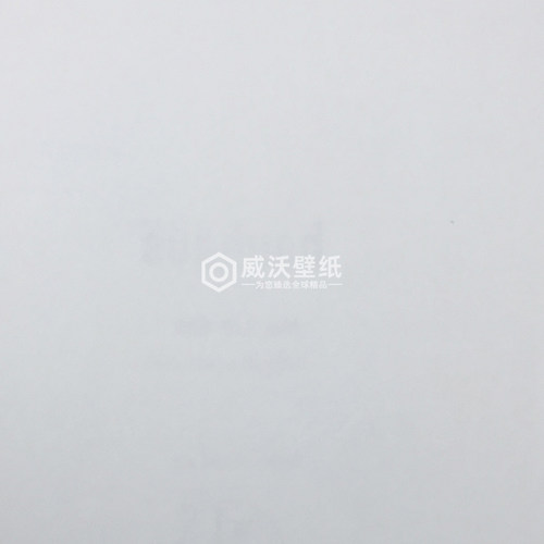 德国进口朗饰RASCH 包豪斯Bauhaus 大卷刷漆墙纸343205 342499